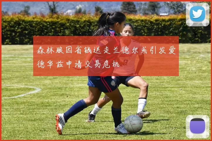 森林狼因省钱送走兰德尔或引发爱德华兹申请交易危机